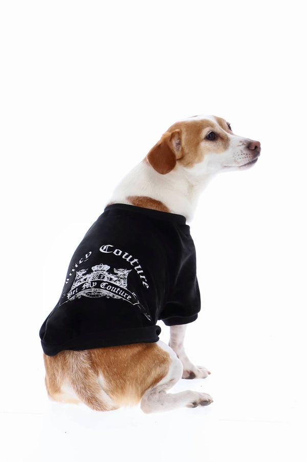 Displays a Dog wearing the Black 'Juicy' branded crest embroidered dog sweater 