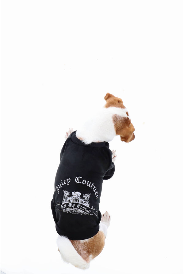 Displays a Dog wearing the Black 'Juicy' branded crest embroidered dog sweater 