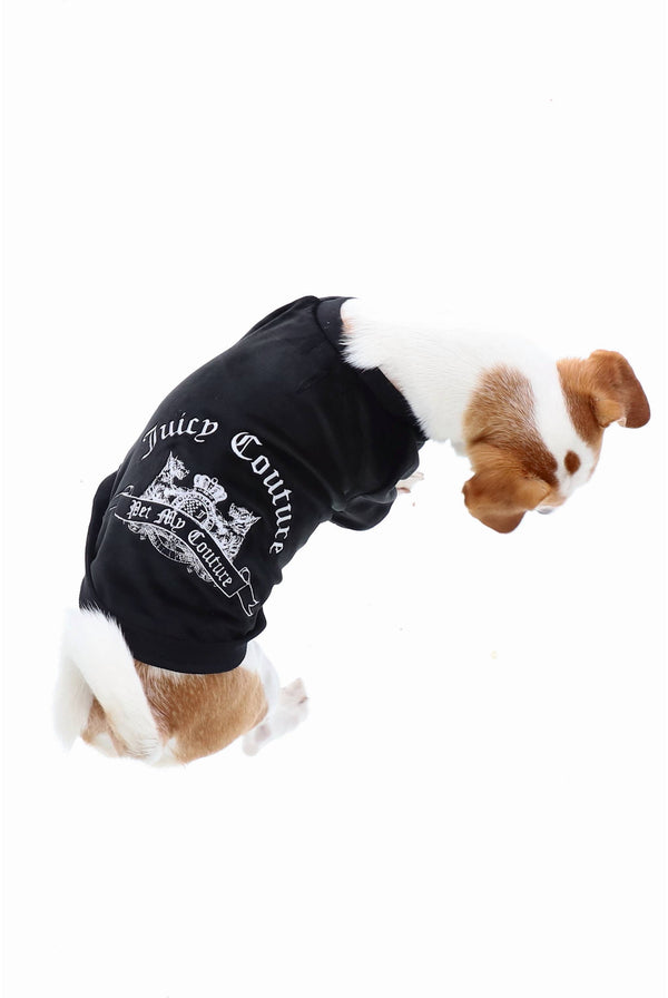 Displays a Dog wearing the Black 'Juicy' branded crest embroidered dog sweater 